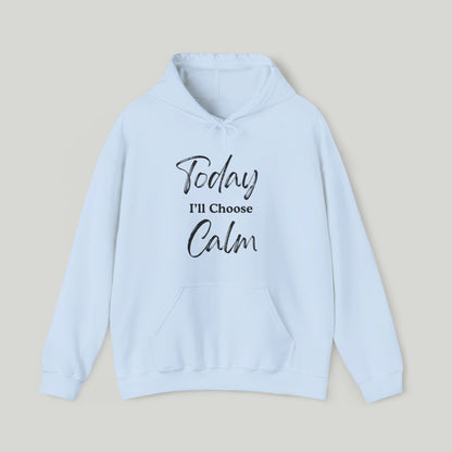 Today I'll Choose Calm Hoodie