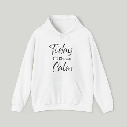 Today I'll Choose Calm Hoodie