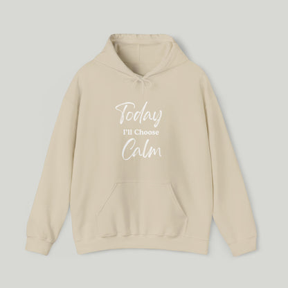 Today I'll Choose Calm Hoodie